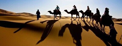 Camel Safari in Ras Al Khaimah (Red Desert)