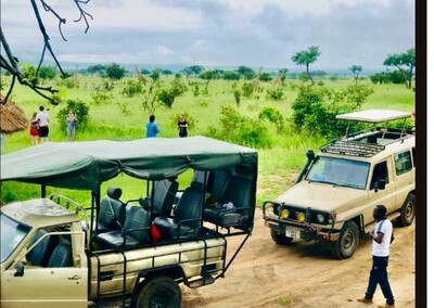 1 Tages Safari-Trip zum Mikumi Nationalpark