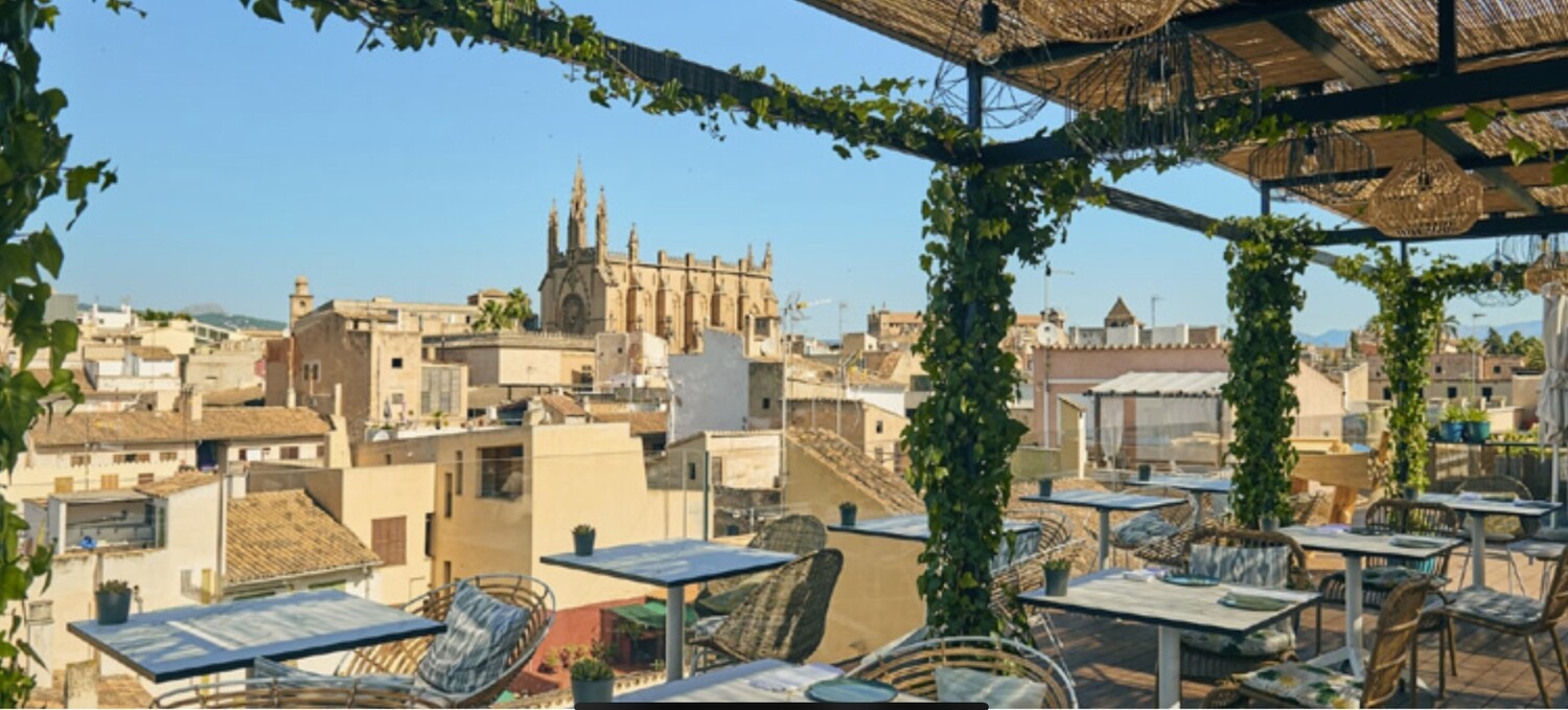 Above the rooftops of Palma rooftop cocktail tour