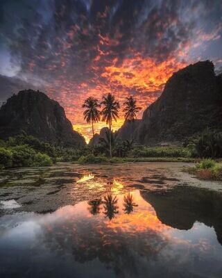 Sulawesi