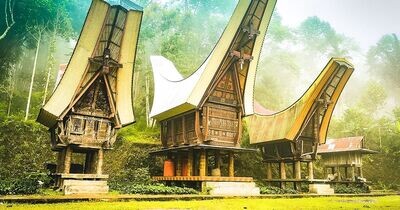 Sulawesi Tour best 9 days：Mamasa - Toraja - Sengkang - Bira beach - Kajang tribe