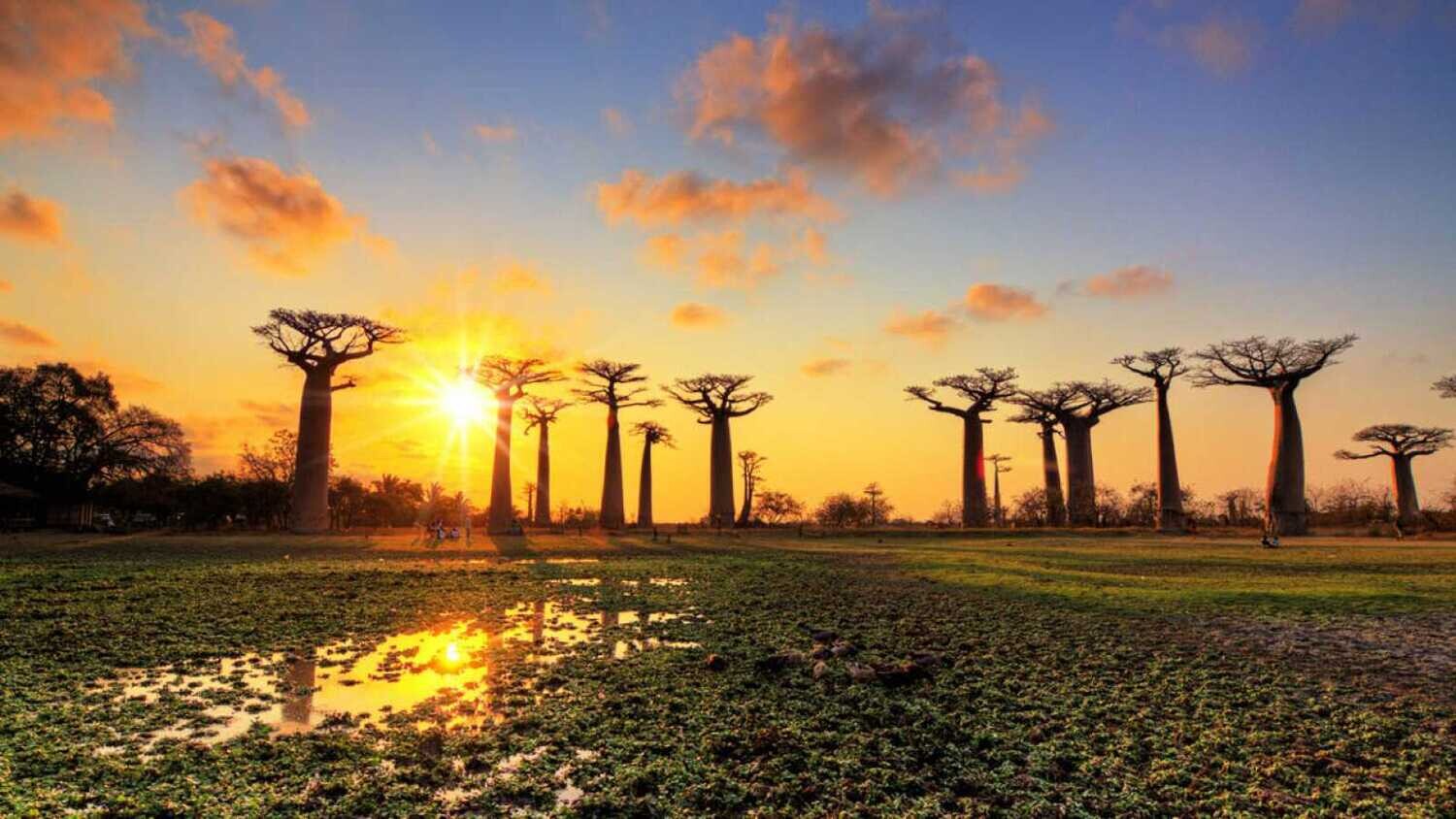 TREKKING AND WILDLIFE ADVENTURE – 21 Days / 20 Nights