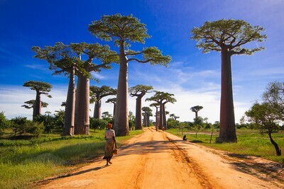 WILDLIFE GREAT TOUR - 15 Days/ 14 Nights