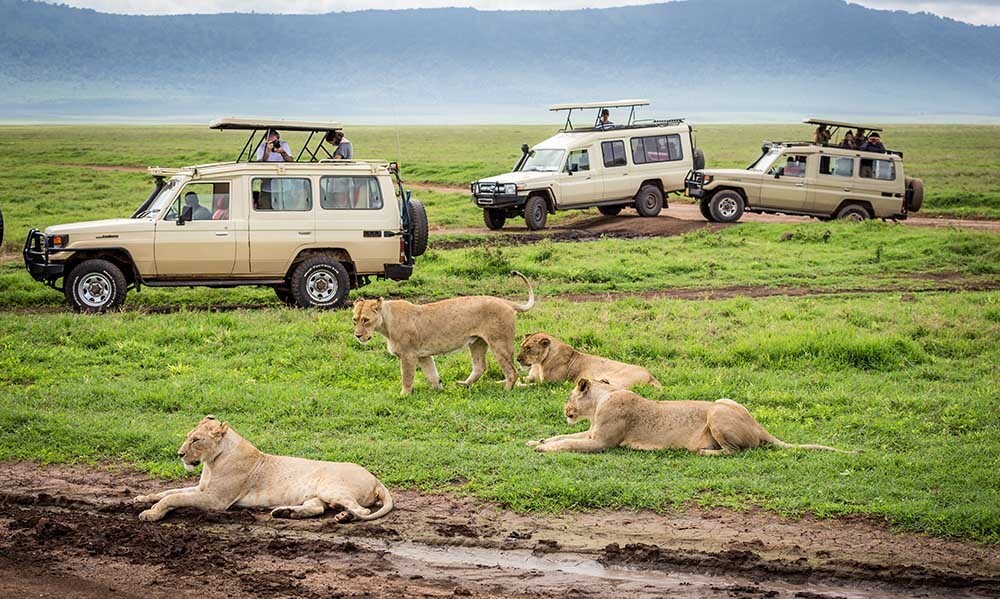 8 Days Classic Safari Kenya &amp; Tanzania