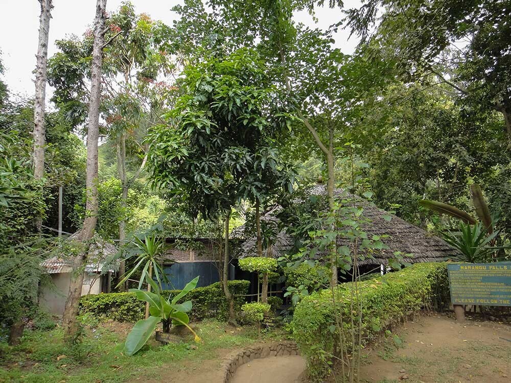 Kilimanjaro Day Tour