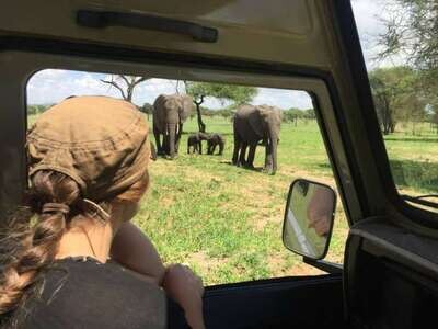 9 Day Affordable Safari to Masai Mara &amp; Serengeti
