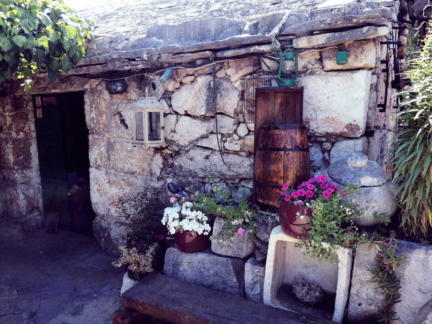 Half day excursion Dalmatia