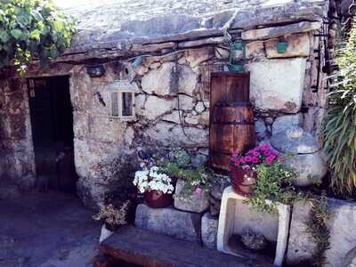 Half day excursion Dalmatia