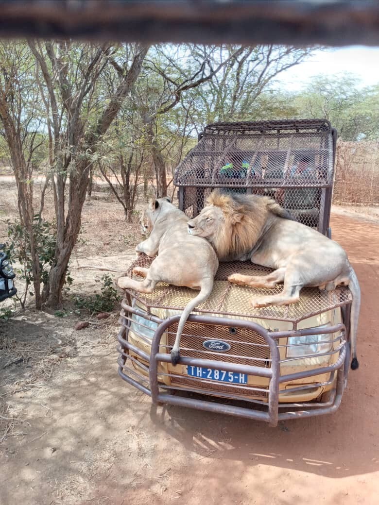 Explore The Unknown Of Senegal And Gambia
