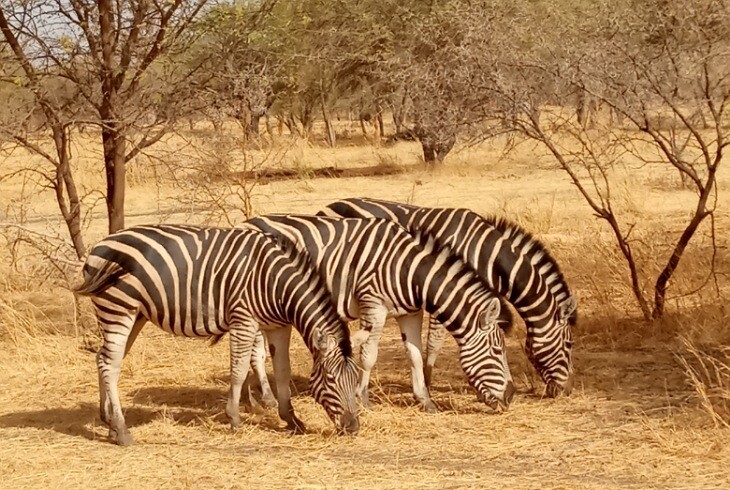 8 Days Tour : Explore The Unknown Of Senegal