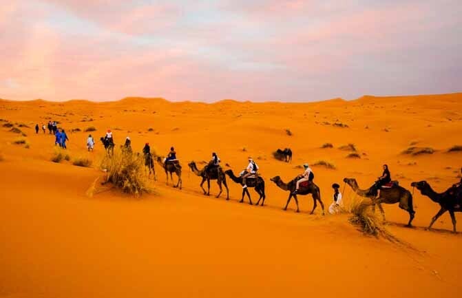 Overnight camel safari