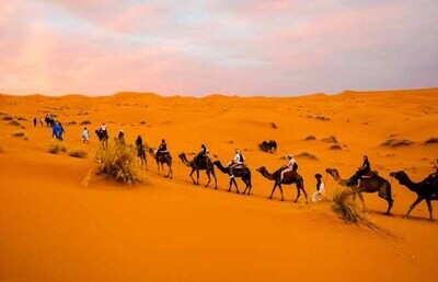 Overnight camel safari