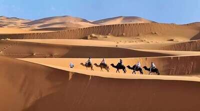 Trip on camels