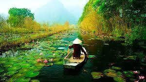 Vietnam - coming soon