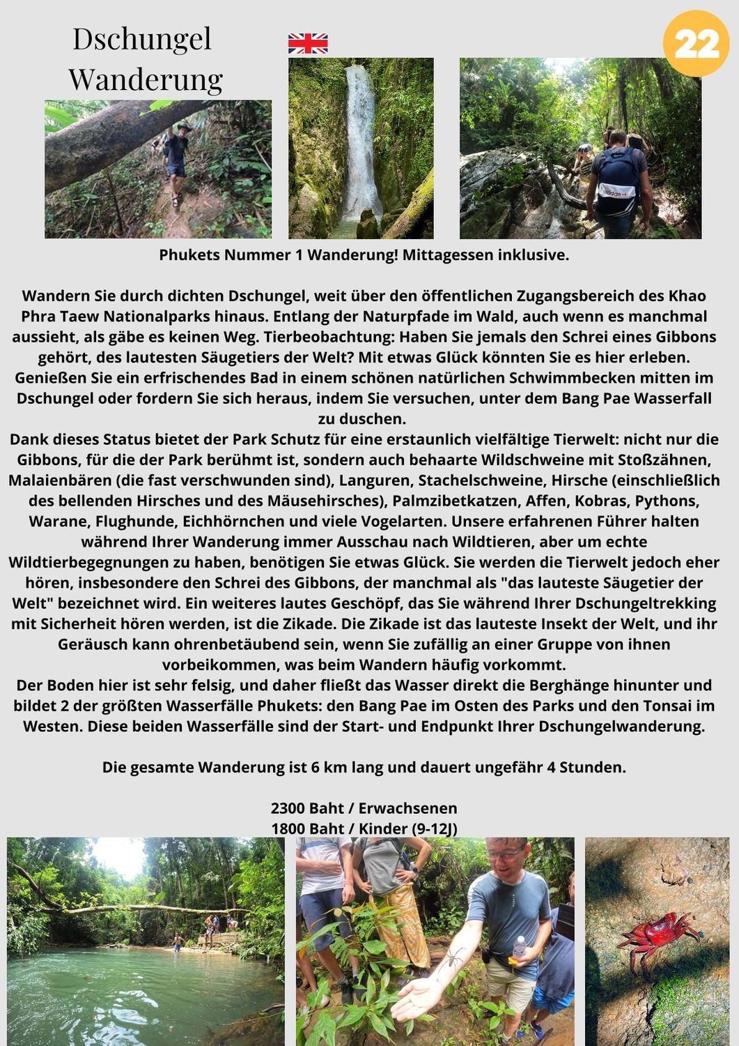 Dschungel Wanderung