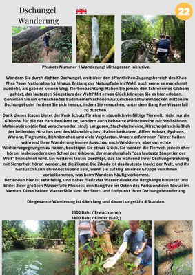 Dschungel Wanderung