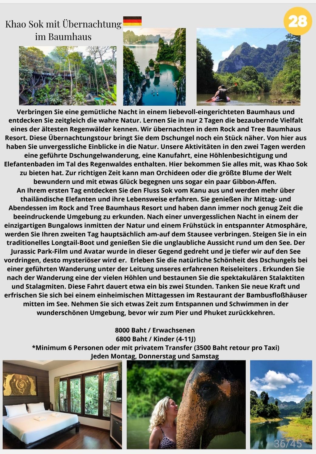 Khao Sok mit Übernachtungim Baumhaus