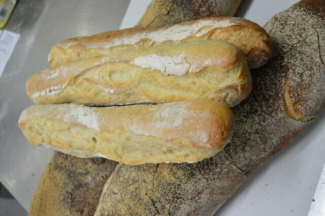 Campaillette