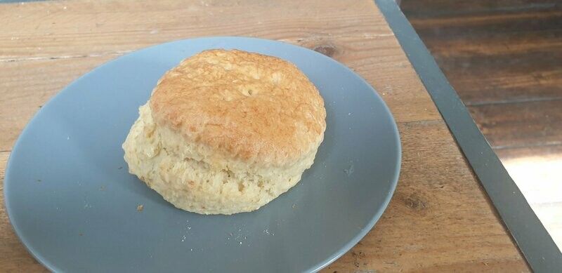 Plain Scone