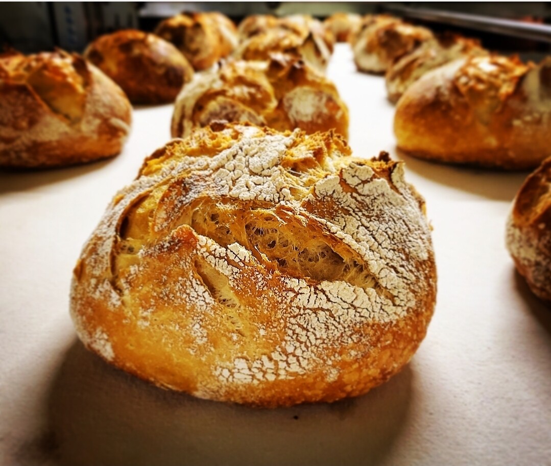 Levain Round Roll
