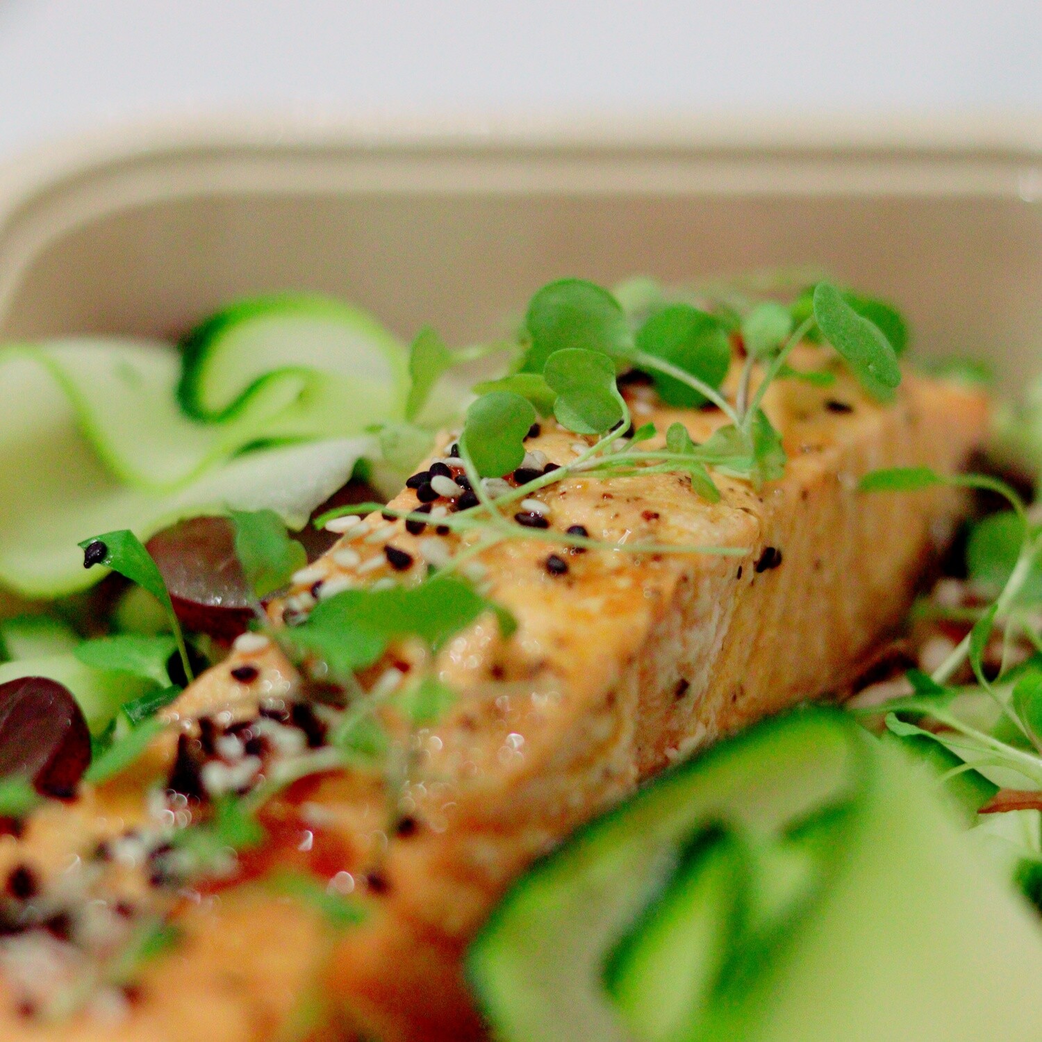 Ginger, Lime and Sesame Salmon Fillet, Asian Salad & Mixed Rice