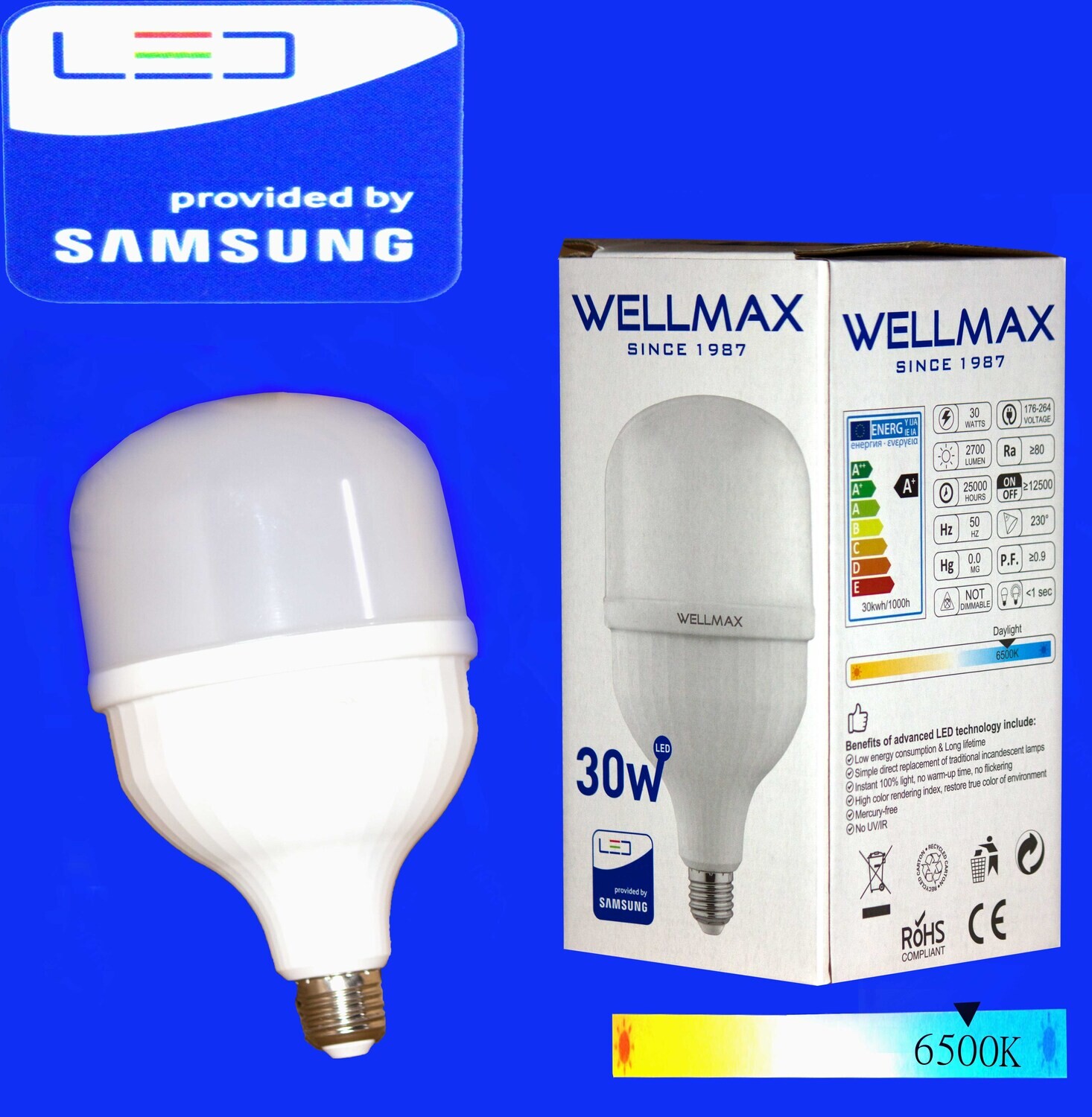 Էլ.լամպ LED Wellmax 30W (E27 6500K)