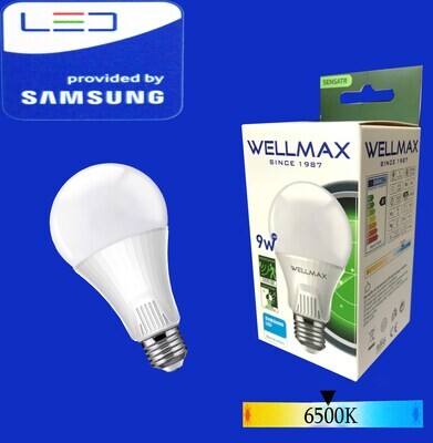 Էլ.լամպ LED Wellmax Շարժման + լույսի սենսոր A60 9W 6500K