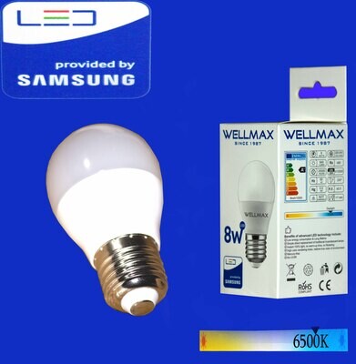 Էլ.լամպ LED Wellmax 08W/G45/E27/6500K/Daylight
