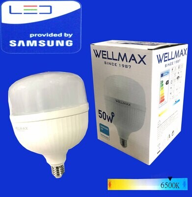 Էլ.լամպ LED Wellmax  50W (E27 6500K)