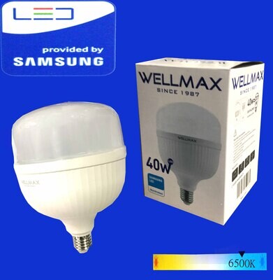 Էլ.լամպ LED Wellmax 40W (E27 6500K)