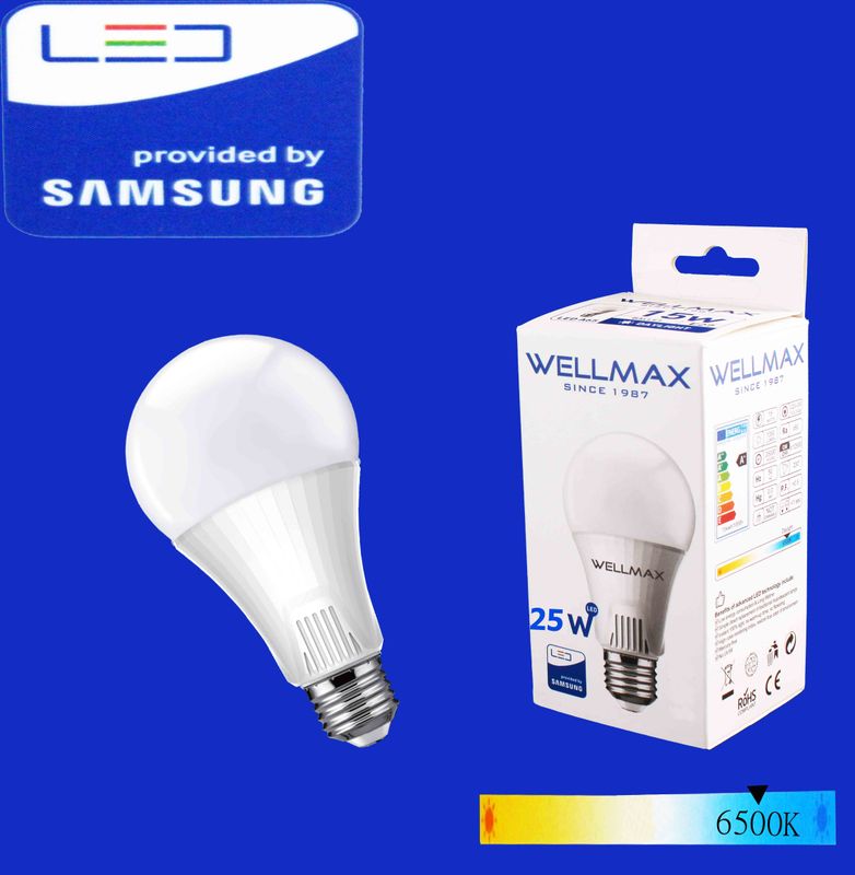 Էլ.լամպ LED Wellmax 25W Daylight (A90 E27 6500K)
