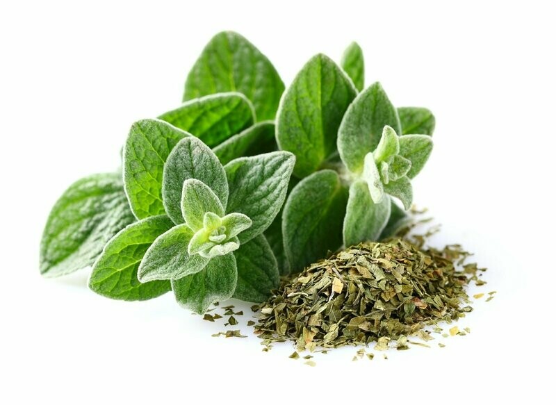 Oregano BIO getrocknet (0,5 KG)