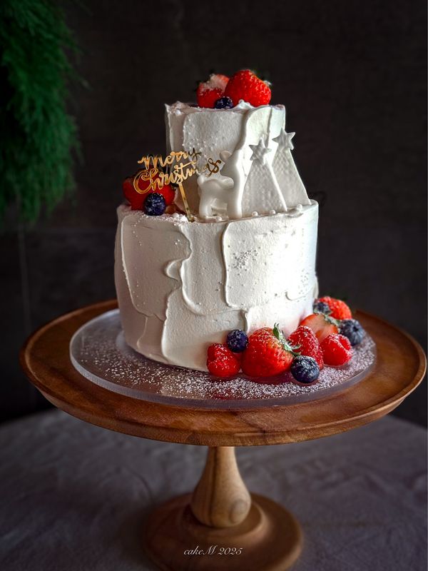 Snowy Wonderland -Strawberry Shortcake 3inch x 5inch