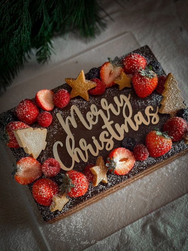 Chocolate Cake Sheet Cake 6 inch x 9 inch