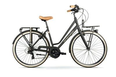 Stadsfietsen