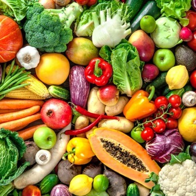 Herbivore
