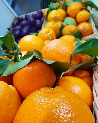 Fruits