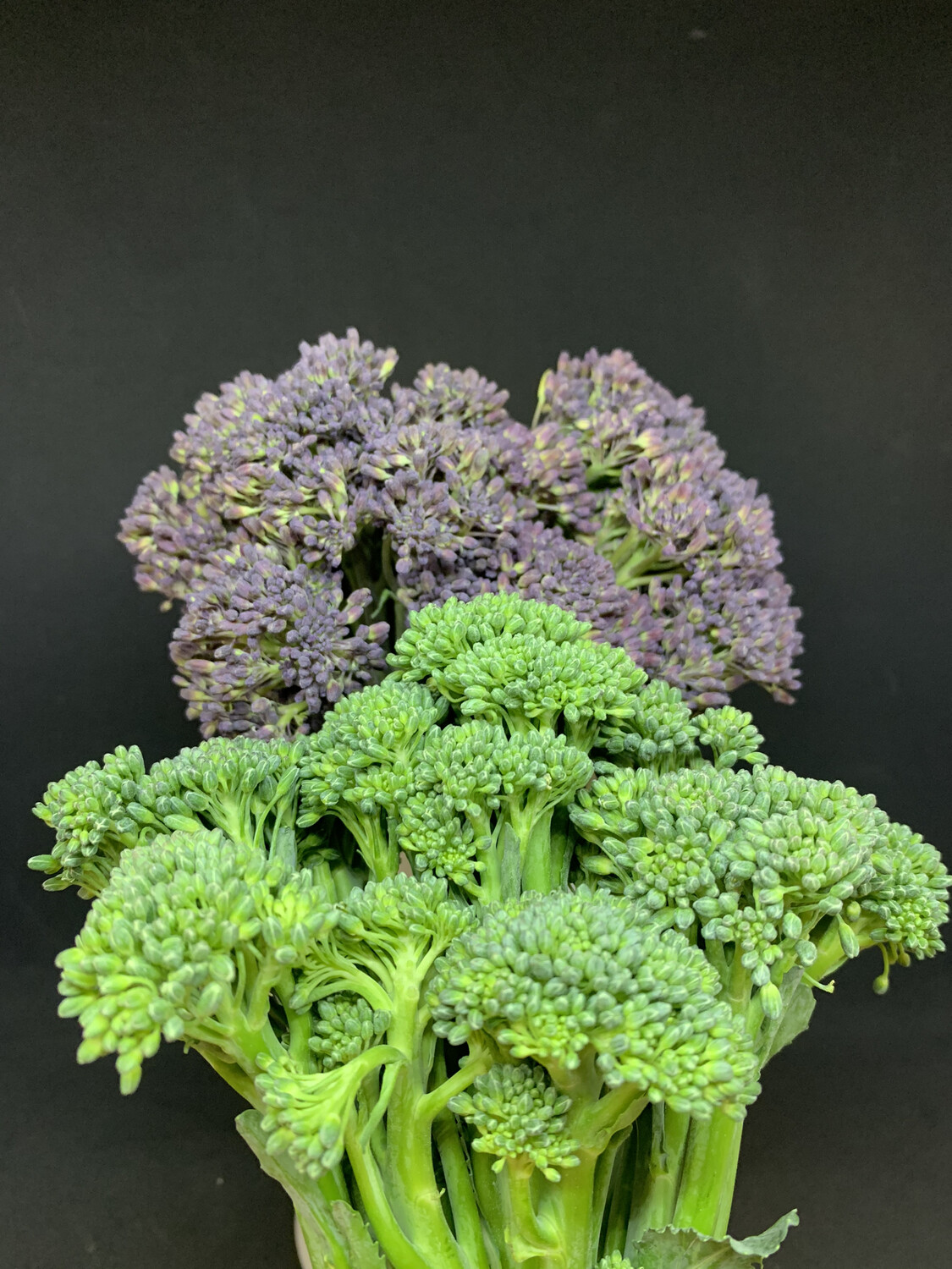 Tender Stem Broccoli Approx 250g