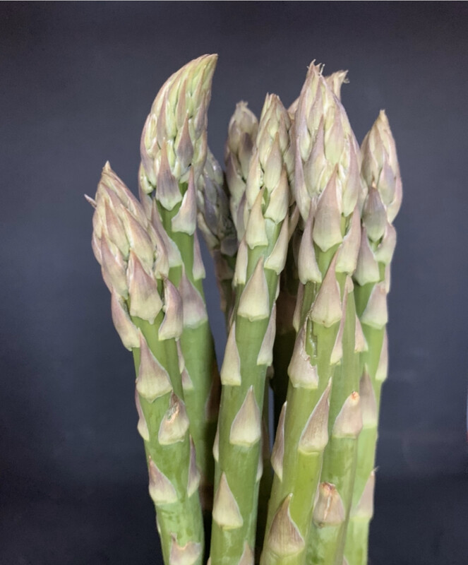 Asparagus Bunch