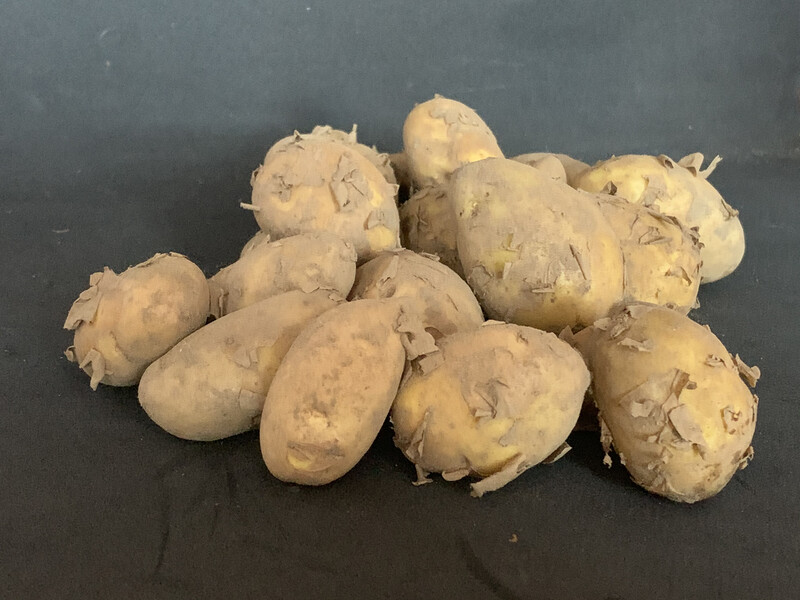 Jersey Royals (Large)  500g