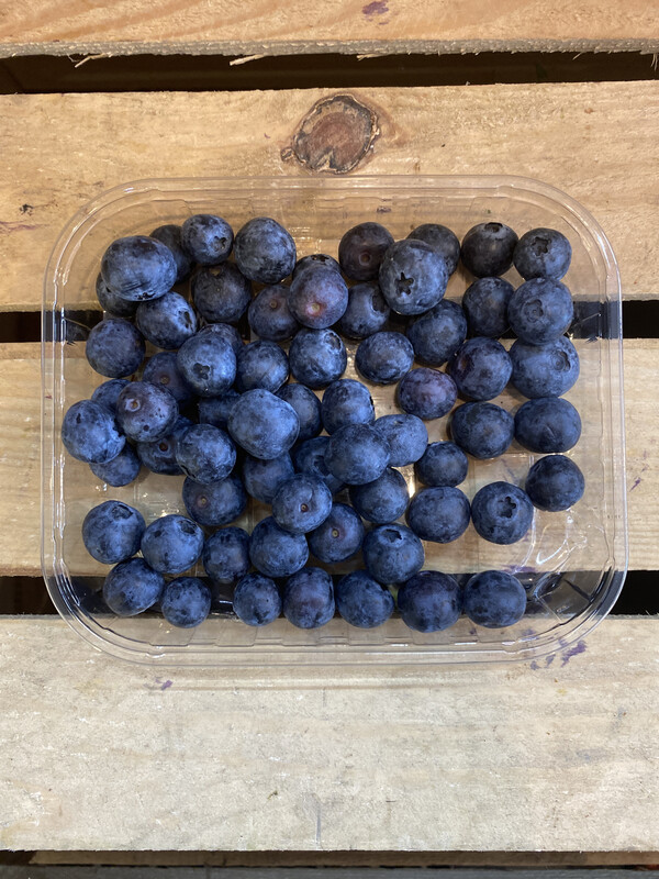 Blueberries Punnet