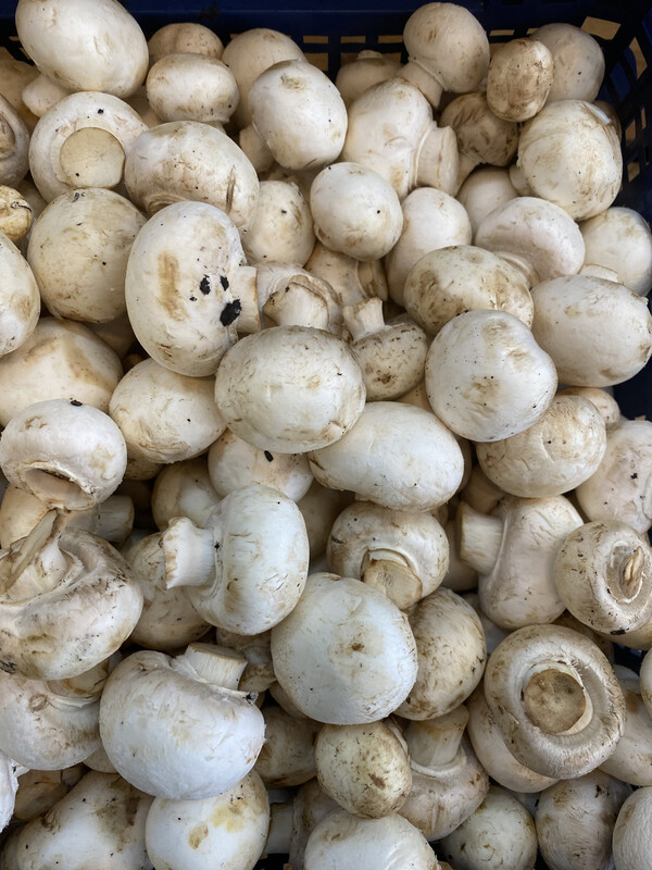 White Button Mushrooms 250g