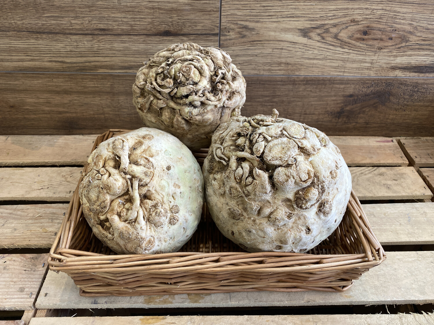 Celeriac Each