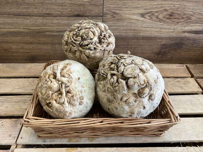Celeriac Each