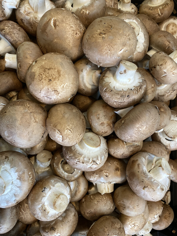 Chestnut Mushroom 250g