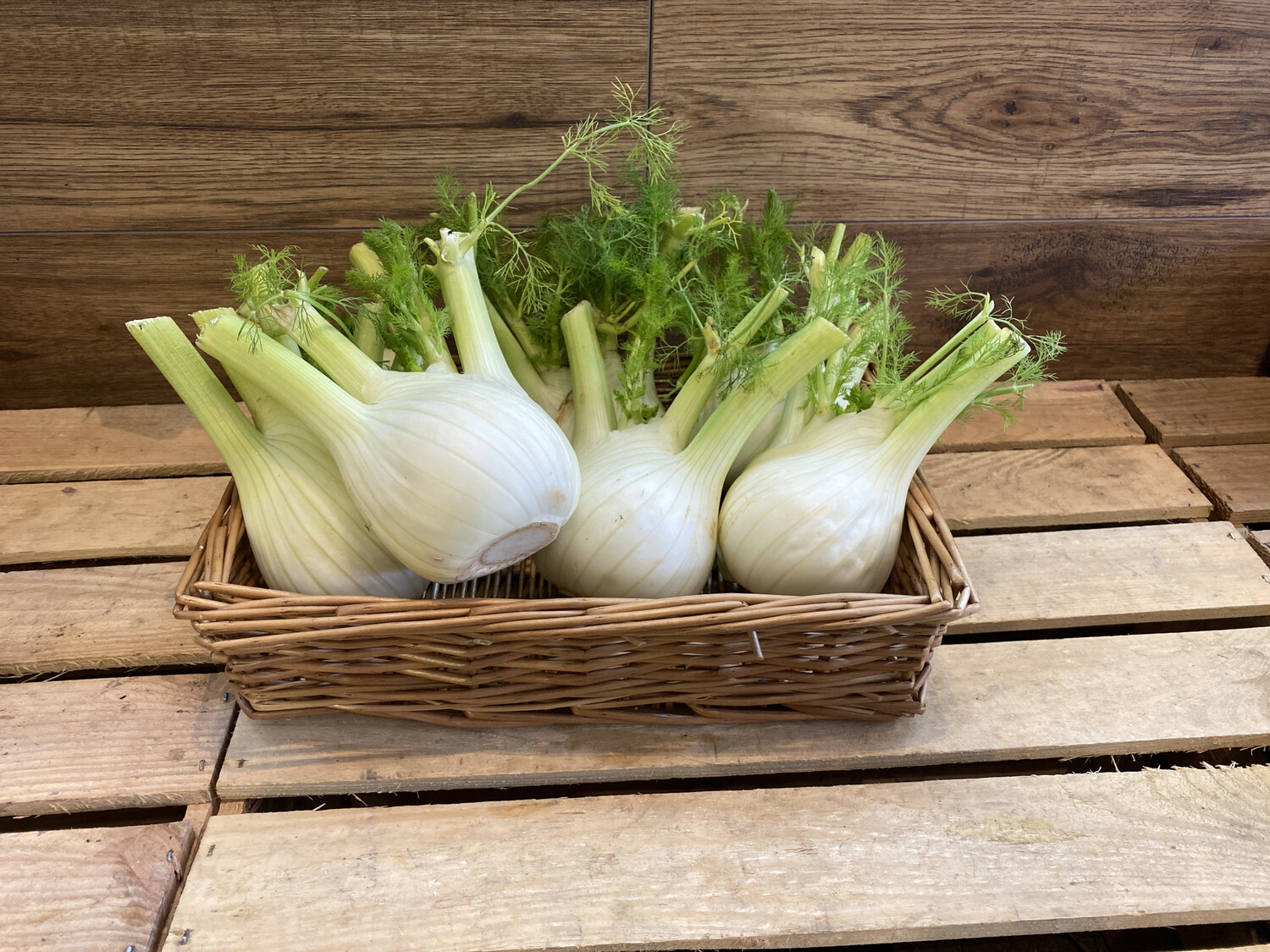 Fennel Each
