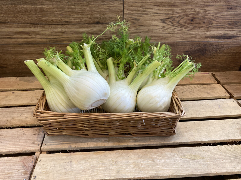 Fennel Each