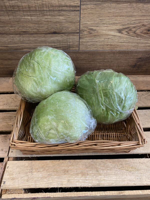 Iceberg Lettuce Each