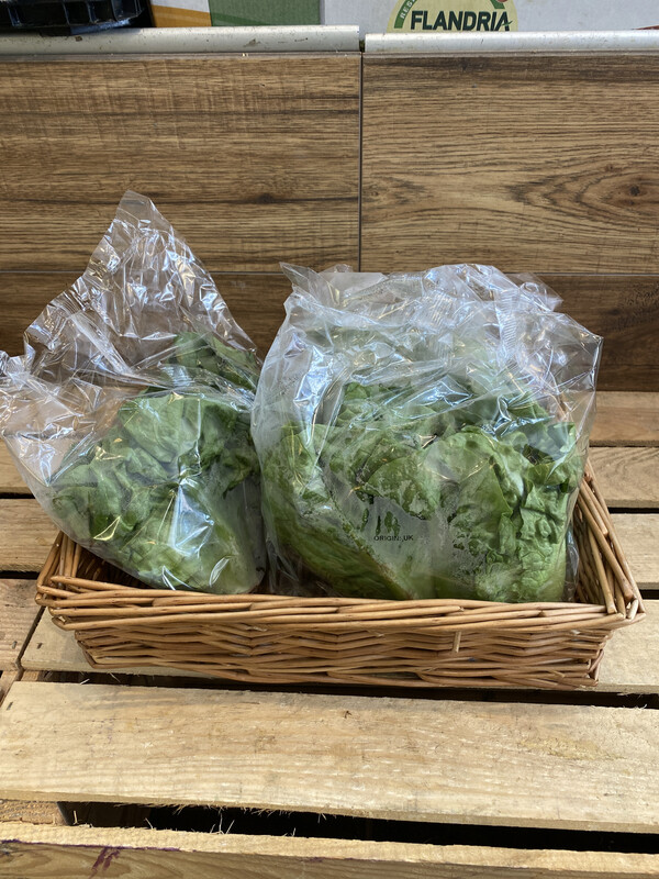 Little Gem Lettuce (Twin Pack)