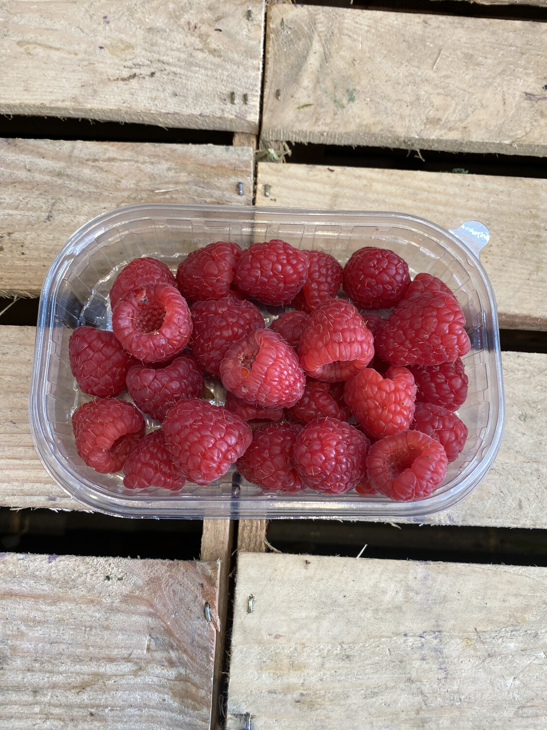Raspberries Punnet